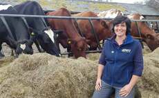 Farming matters: Abi Reader - 'I find it difficult not to feel bitter about the NVZs episode'