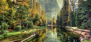 Defra and BSI launch Nature Investment Standards Programme