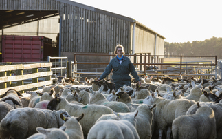 Women in farming report lower mental well-being than national average in every age group, study shows