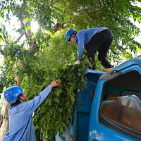 CHINA-HAINAN-HAIKOU-TYPHOON RAGASA-PREPARATION (CN)
