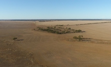 The Great White project in SA.