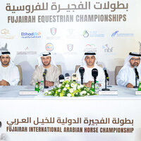 Fujairah International Arabian Horse Championship to kick off November 27