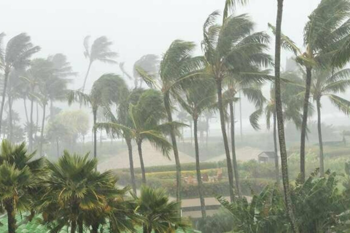Cyclones drive people to buy health insurance, more so than some government campaigns
