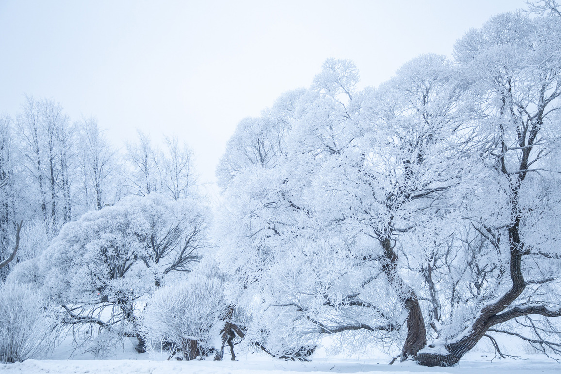 LATVIA-RIGA-WEATHER-RIME SCENERY