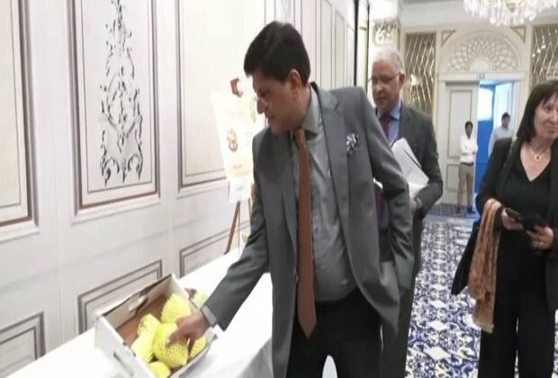 Indian mangoes in Europe: Piyush Goyal inaugurates 'Mango Festival' in Belgium to create awareness