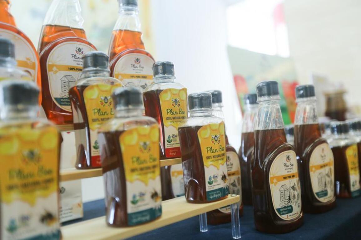 Myanmar's bee enterprise eyes market expansion in China through CIIE