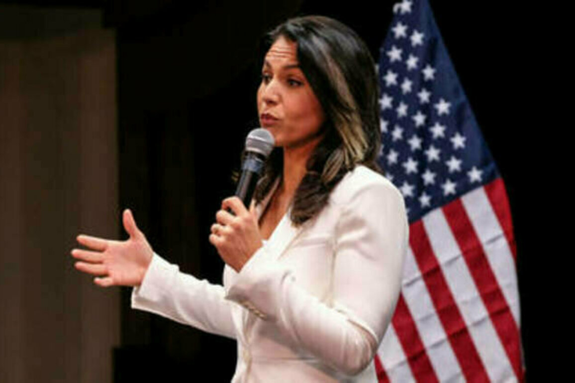 Tulsi Gabbard releases 'overwhelming evidence' of Obama coup plot against Trump