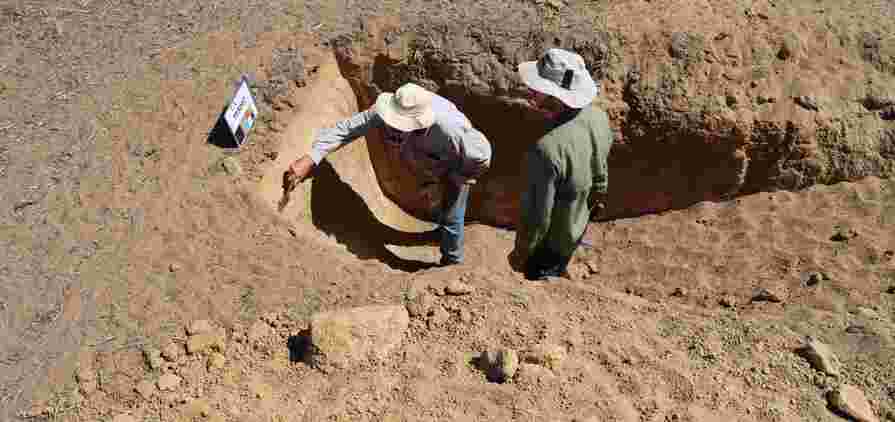 A new DPIRD led collaboration with grower groups will work with landholders to reduce the risk of wind erosion on properties with sandy soils.