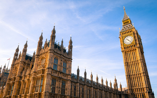 Surplus provisions in bill will 'reset' how employers view DB schemes