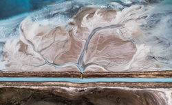 BusinessGreen to host new webinar on navigating the voluntary carbon market in 2024