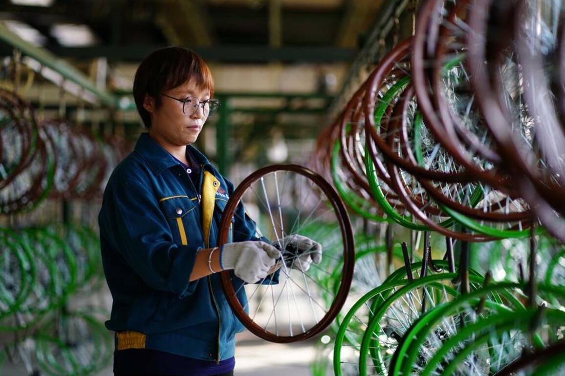 Cycling boom fuels economy, urban vitality in north China city
