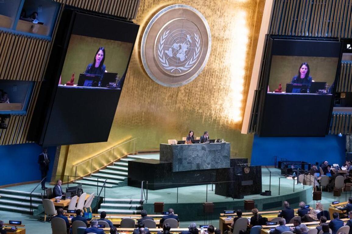 5 countries elected non-permanent members to UN Security Council