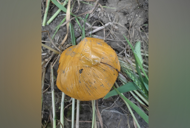 BSF, Punjab Police recover suspected heroin on Tarn Taran border