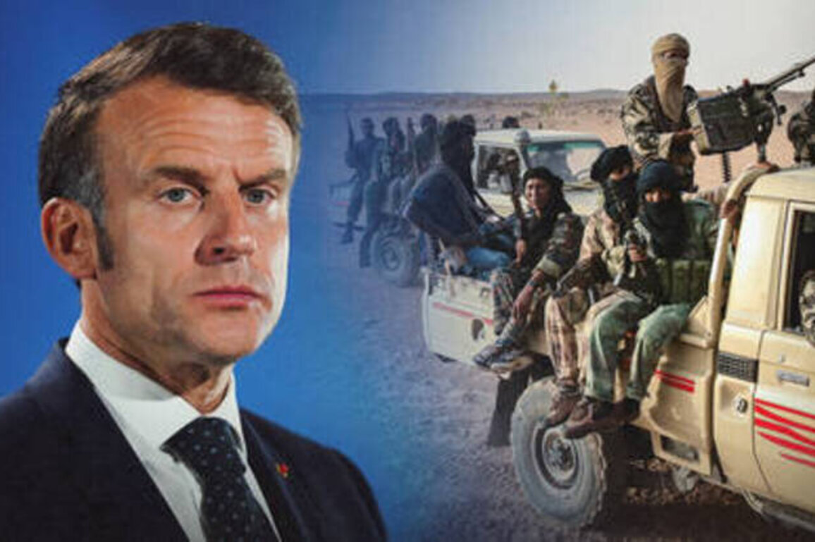 France plotting 'political revenge' in Africa - Russian intel