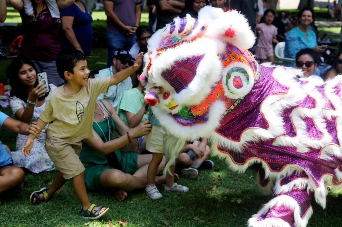 Feature: Chinese New Year infuses Latin America with festive cheer