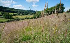 Signs of nature's recovery beginning to show thanks to farmers' efforts