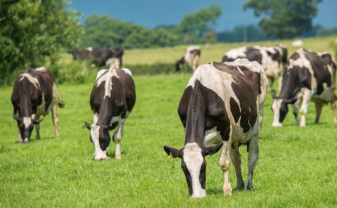NFU asks dairy farmers to share future plans 