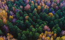 Investors await historic COP15 on biodiversity 