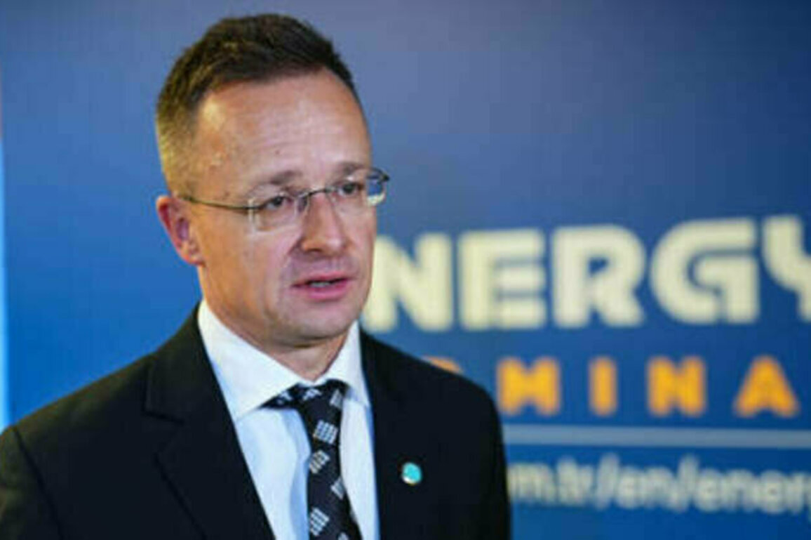 Member state accuses EU of violating energy security guarantees - media