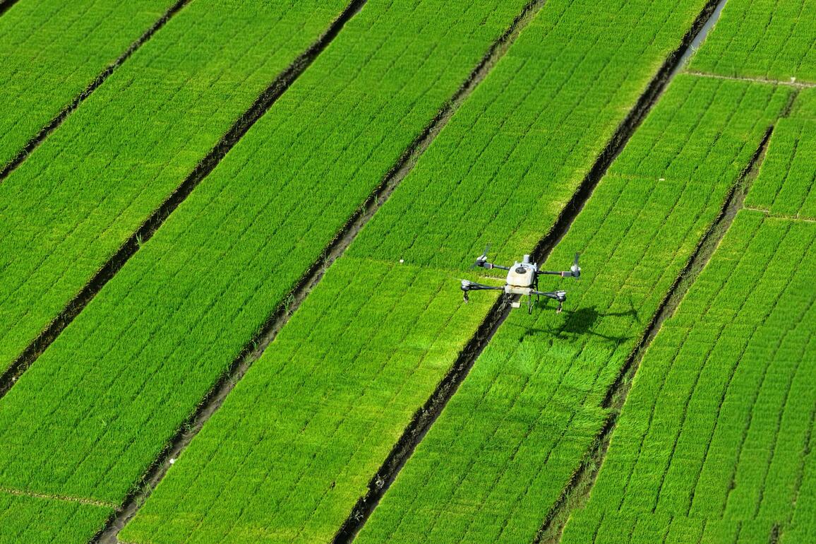 CHINA-SICHUAN-CHONGZHOU-SMART AGRICULTURE COMPETITION (CN)