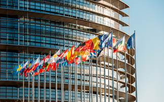 'The same playbook will be run again': Companies urged to 'speak up' to halt backlash against EU climate agenda