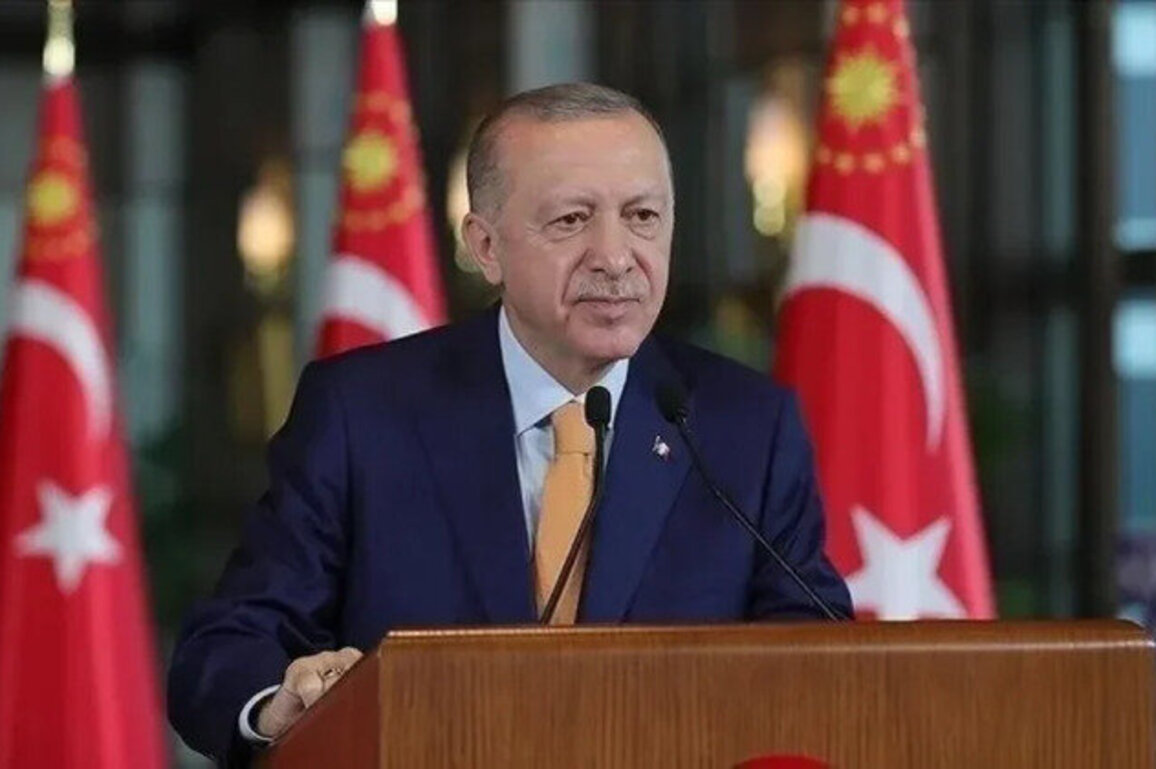 Erdogan: We support a Syrian vision based on amity and brotherhood