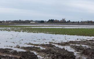 Spring advice for waterlogged crops