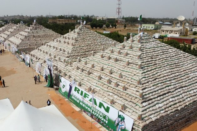 Nigeria Unveils Massive Pile of Rice Marking Production Progress