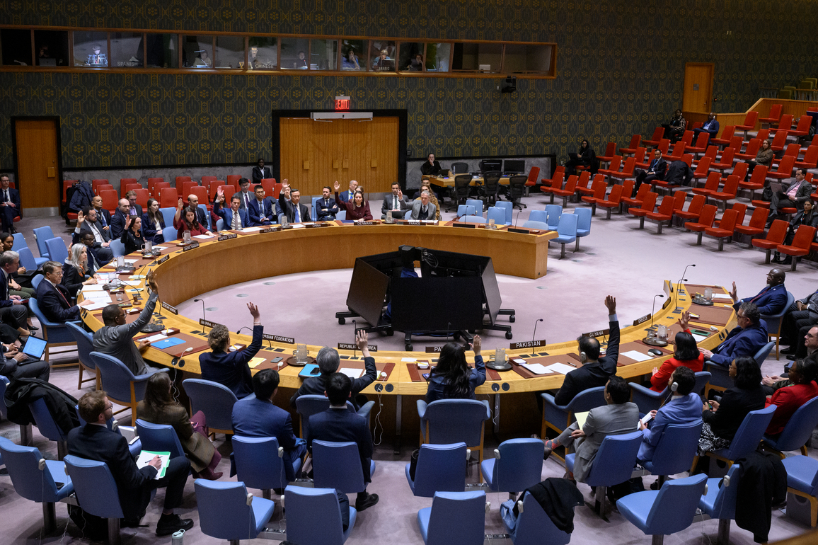 UNITED NATIONS-SECURITY COUNCIL-DRC