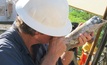 Mexico-focused explorer samples up to 1,995g/t silver, 2.46% copper and 1.93% lead