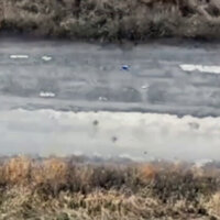 Kiev's forces kill civilians with direct FPV drone hits - media (GRAPHIC VIDEO)