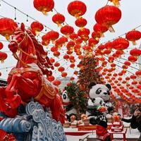 Interview: Spring Festival gains global recognition for shared human values, says Russian scholar