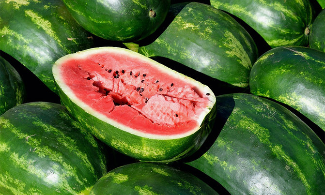Melons: Sweet money maker Melons: Sweet money maker