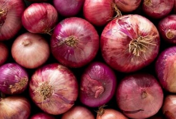 Second train with 840 metric tonnes of onion procured by NAFED arrives in Delhi