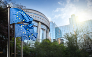 Hundreds of investors and business groups urge EU to 'preserve the core' of sustainability reporting rules