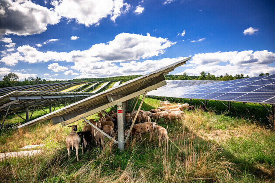 Phantom Public Comments Threaten Ohio Solar Farm