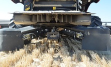  New research will look at life in and under chaff post harvest. Picture Mark Saunders.