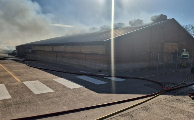 Around 3,000 birds are thought to have died in a fire at a Cheshire turkey shed