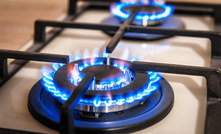 Blue fire from domestic kitchen stove top. Credit:shutterstock/Vova Shevchuk