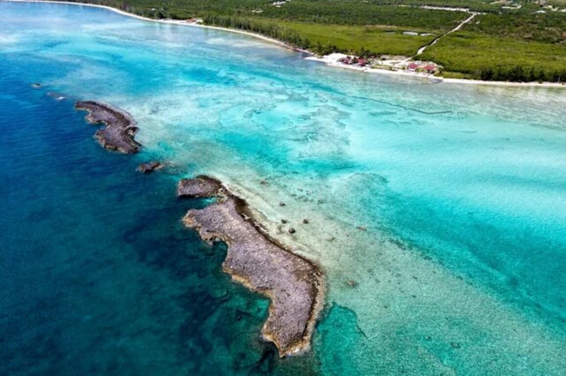 Body washes ashore near Deadmans Reef a popular snorkeling&nbsp;area on Grand Bahama
