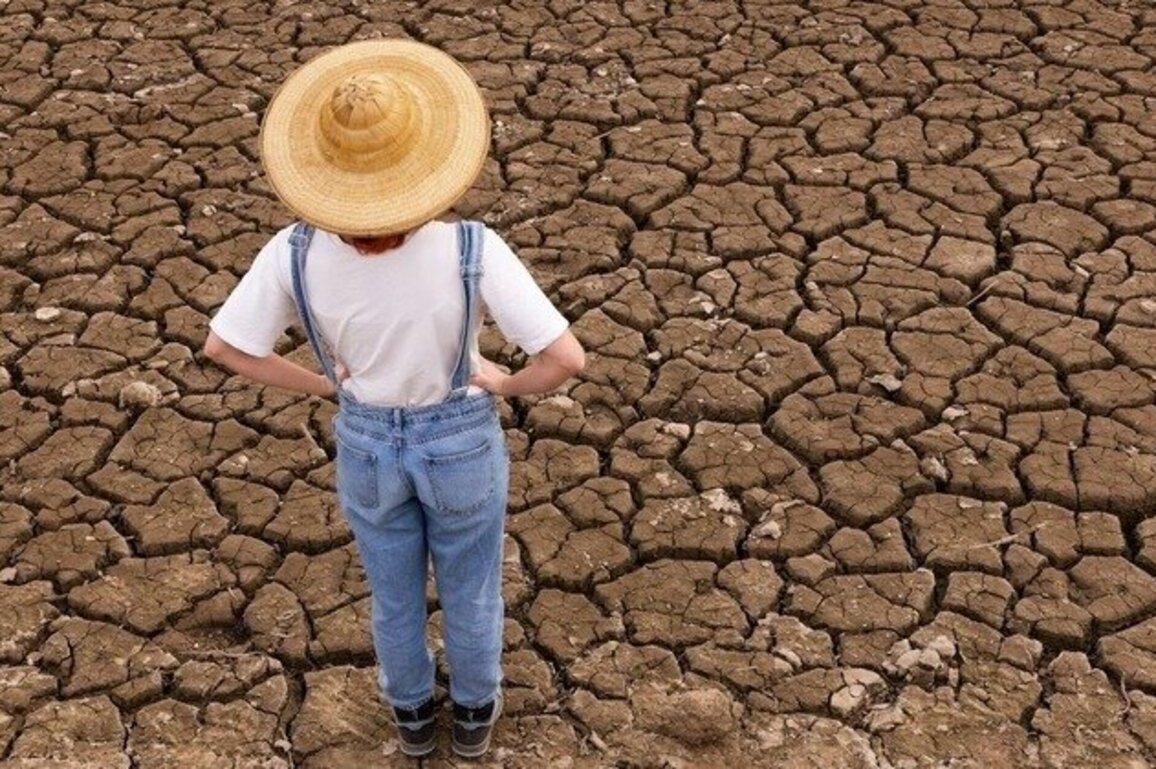 Drought could affect yield for Mississippi farmers