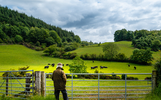 ' views sought on current mental health challenges in farming