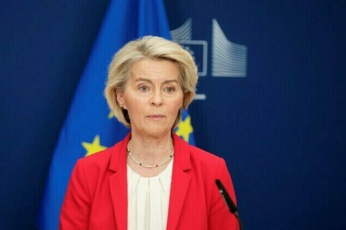 Von der Leyen slammed for misleading media  Politico