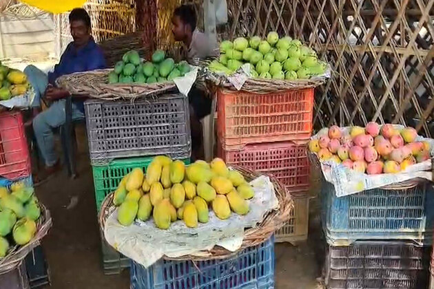 Malihabad's Dussehri mangoes arrive in markets, traders report strong demand despite lower crop yield