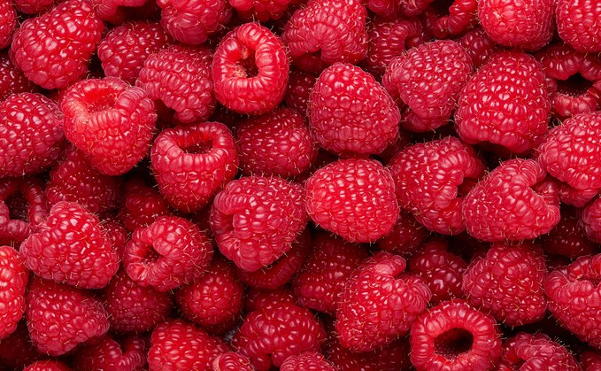 Berry growers say it is a vintage year for raspberries