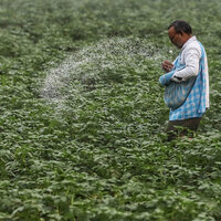 Shipping disruptions, rising input costs strain fertiliser markets; managing impact through coordinated response: Fertiliser Association of India