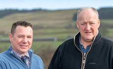 Beltex Society moves to Pedigree Livestock Services