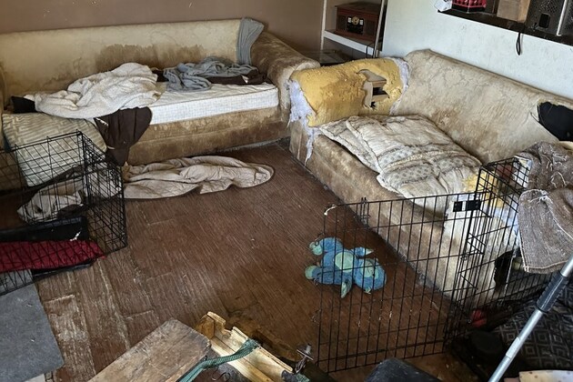 2 Northglenn women charged with 109 animal cruelty counts