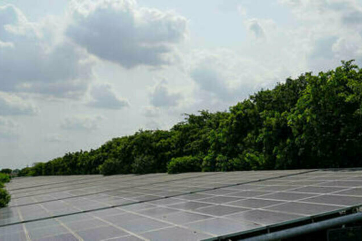 India aiming to become net energy exporter by 2030 - minister