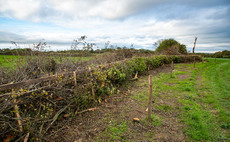 Farmers urged to prepare for capital grants reopening